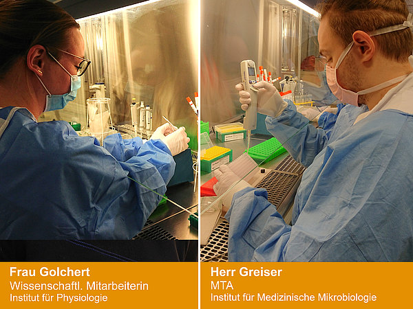 Auswertung PCR-Test  