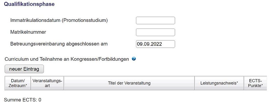 fis_screenshot_qualifikation.JPG